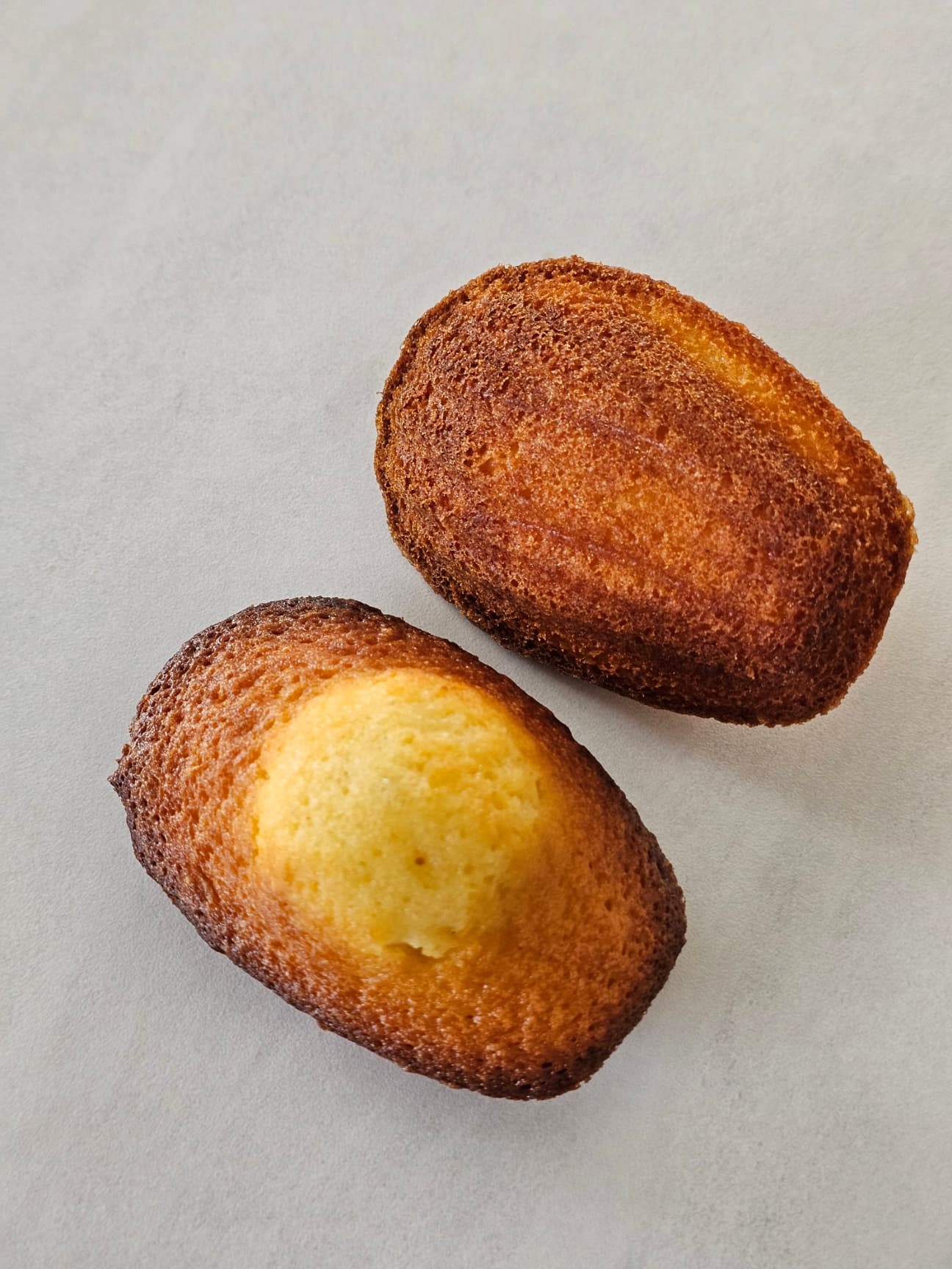 Madeleine — La Seconde Part, pâtisserie artisanale au Havre — vue 3