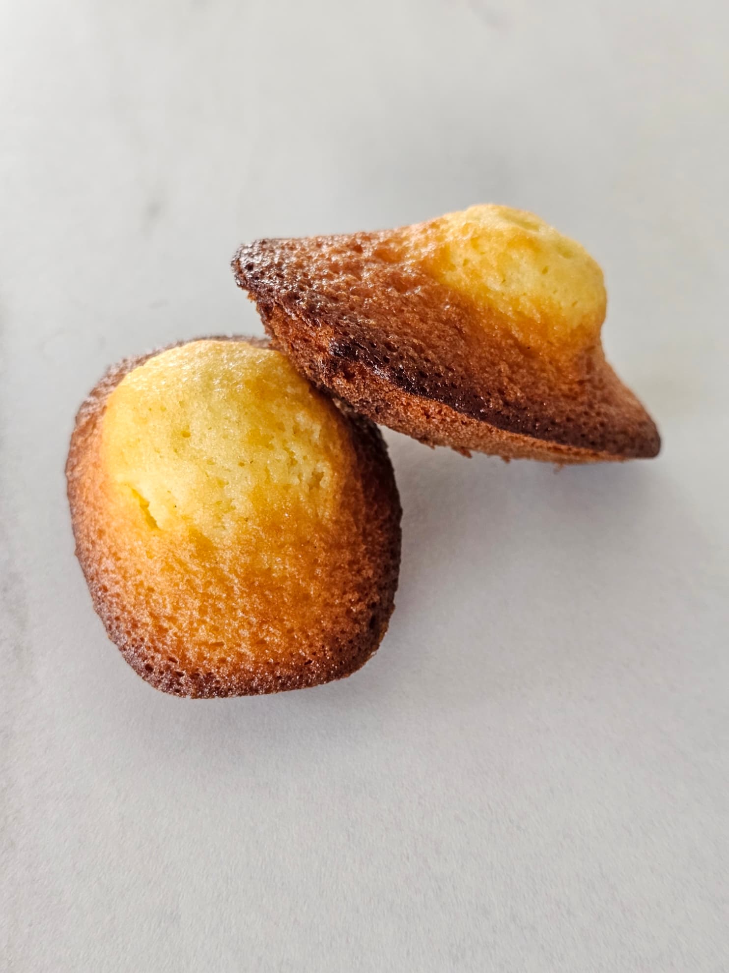 Madeleine — La Seconde Part, pâtisserie artisanale au Havre — vue 2